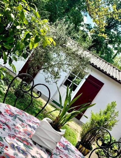 Studio A Linxe Entre Terre Et Ocean 外观 照片